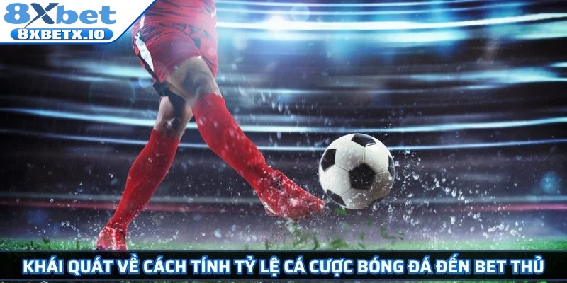 Khái quát về cách tính tỷ lệ cá cược bóng đá đến bet thủ