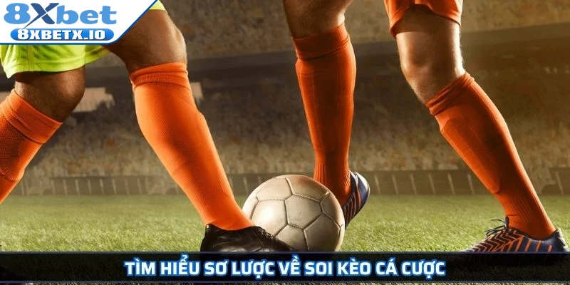 Tìm hiểu sơ lược về soi kèo cá cược
