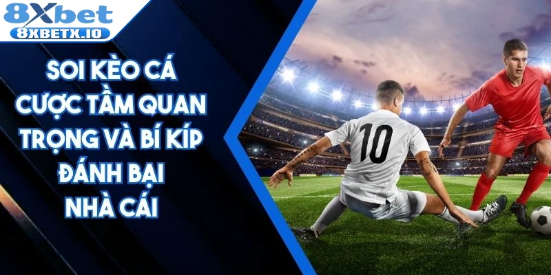 Soi kèo cá cược